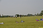 Parco San Giuliano  - 390